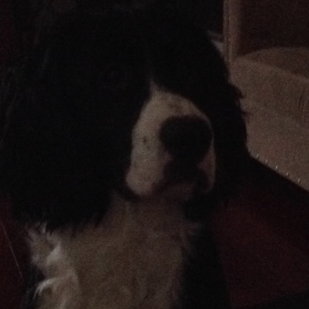 Meet your Posher, Toni